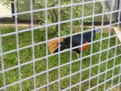 IMG_2985.JPG
