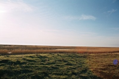 Степь, январь  2007 года
