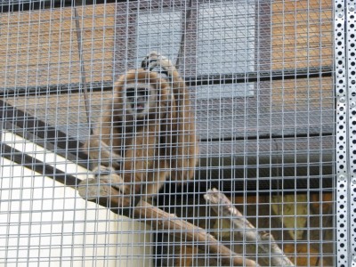 Что за нах???