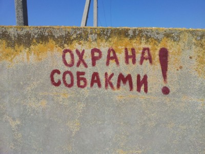 20120623_100337.jpg