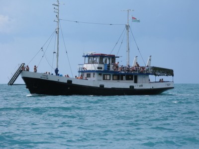 138 as.jpg