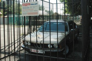 ezdun_300.jpg