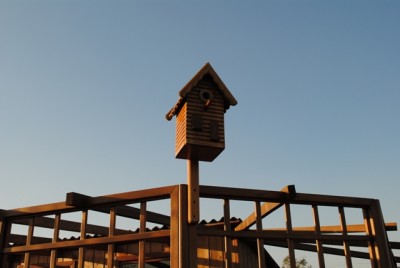 DSC_1368.JPG
