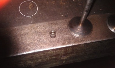 IMAG0085.jpg