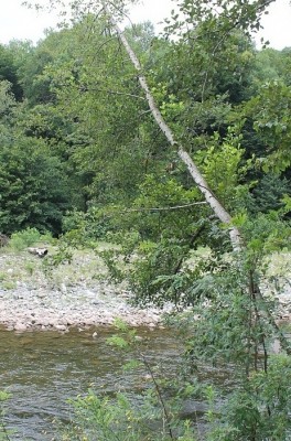 IMG_3830.JPG