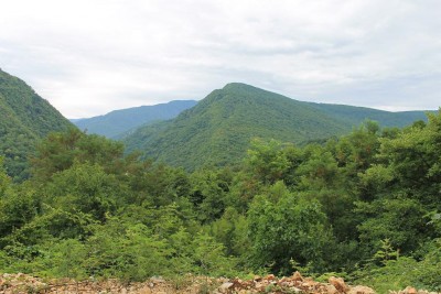 IMG_3844.JPG
