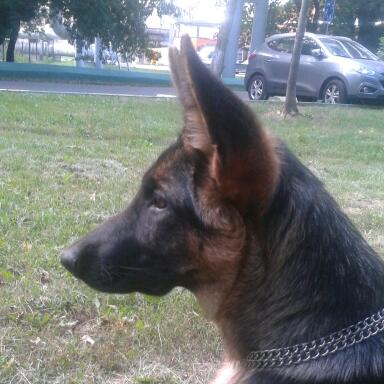 2012-08-02 08.20.37-1.jpg