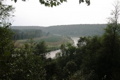 IMG_1315.JPG