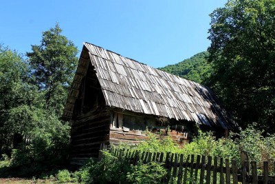 40.JPG