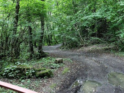 67.JPG