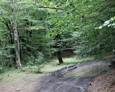 68.JPG