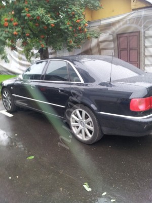 19953001.jpg