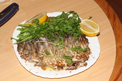 IMG_9038с.jpg