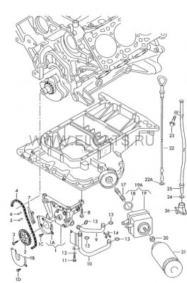 цепь и натяжитель.jpg