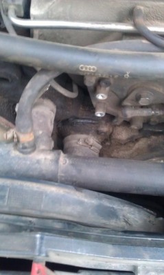 IMAG0015.jpg