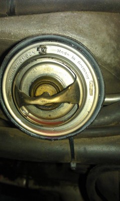 IMAG0026.jpg