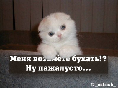 141664_241199.jpg