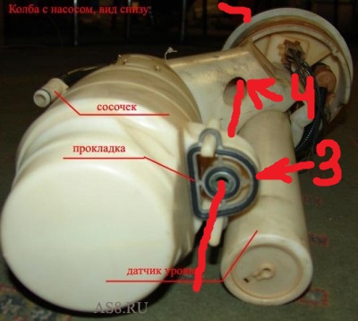 f8.jpg