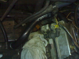 24022009123_resize.jpg