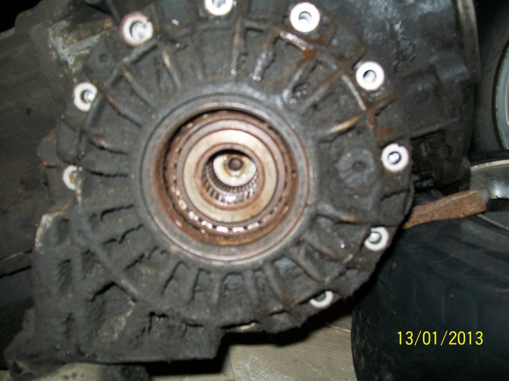 100_2011~1.jpg