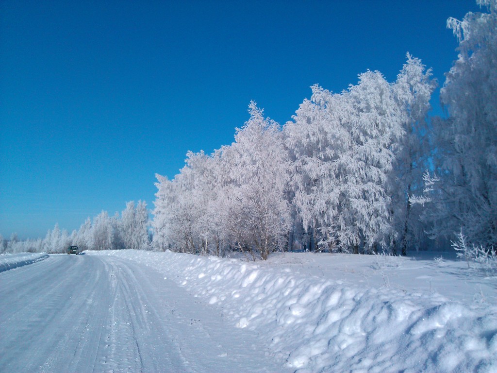 IMG_20130126_144821.jpg