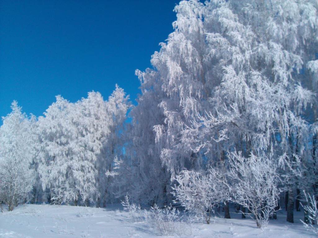 IMG_20130126_144836.jpg