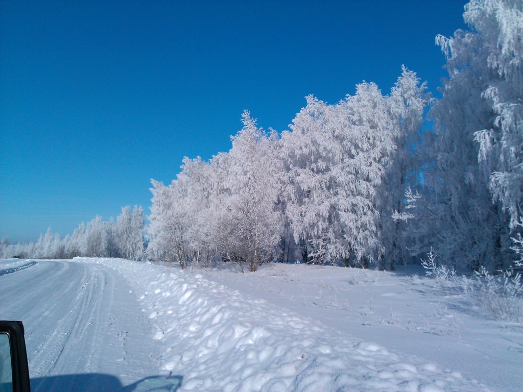 IMG_20130126_144843.jpg