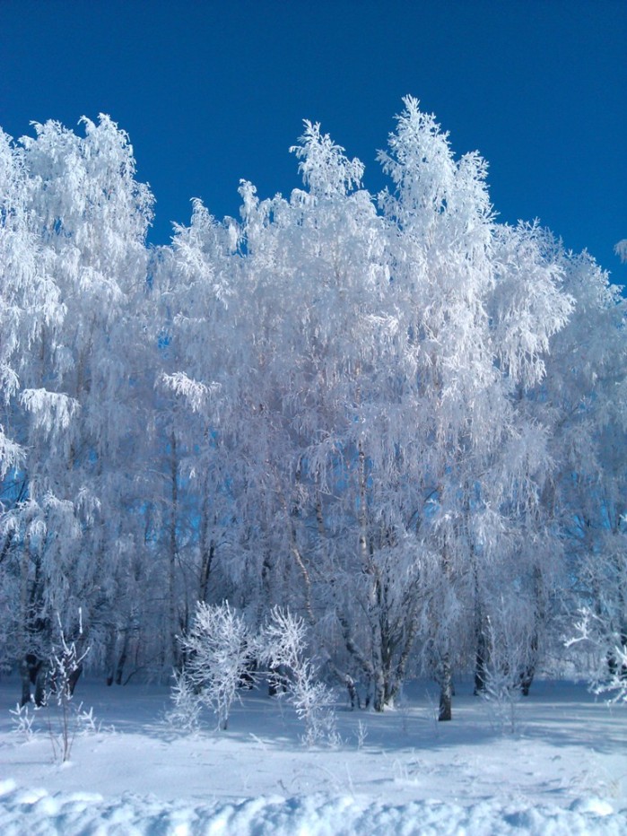 IMG_20130126_145003.jpg