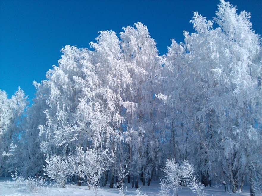 IMG_20130126_145013.jpg