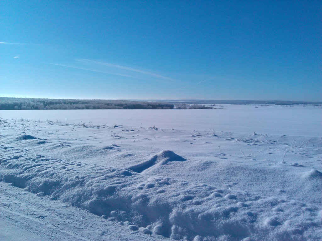 IMG_20130126_145255.jpg