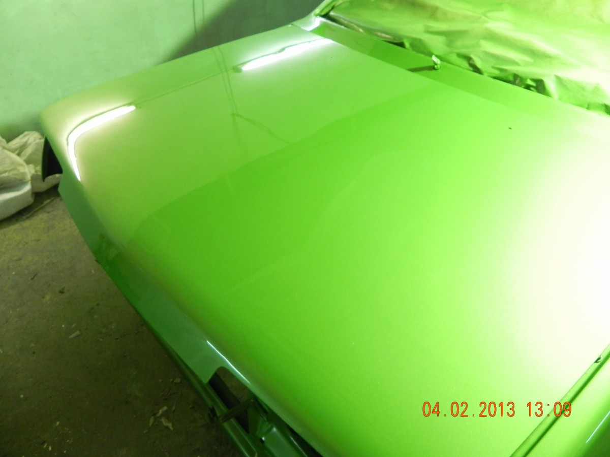 DSCN7784.jpg