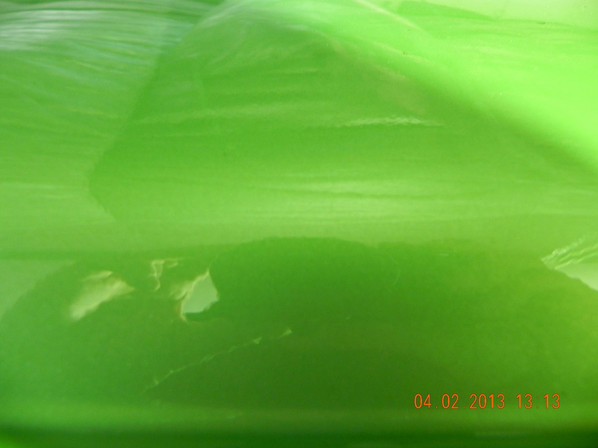 DSCN7788.jpg