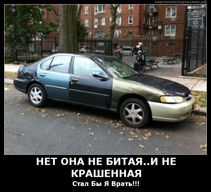 416bd7bb17.jpg