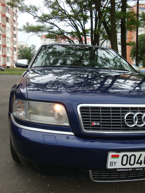 DSC08676.JPG