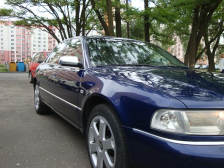 DSC08677.JPG