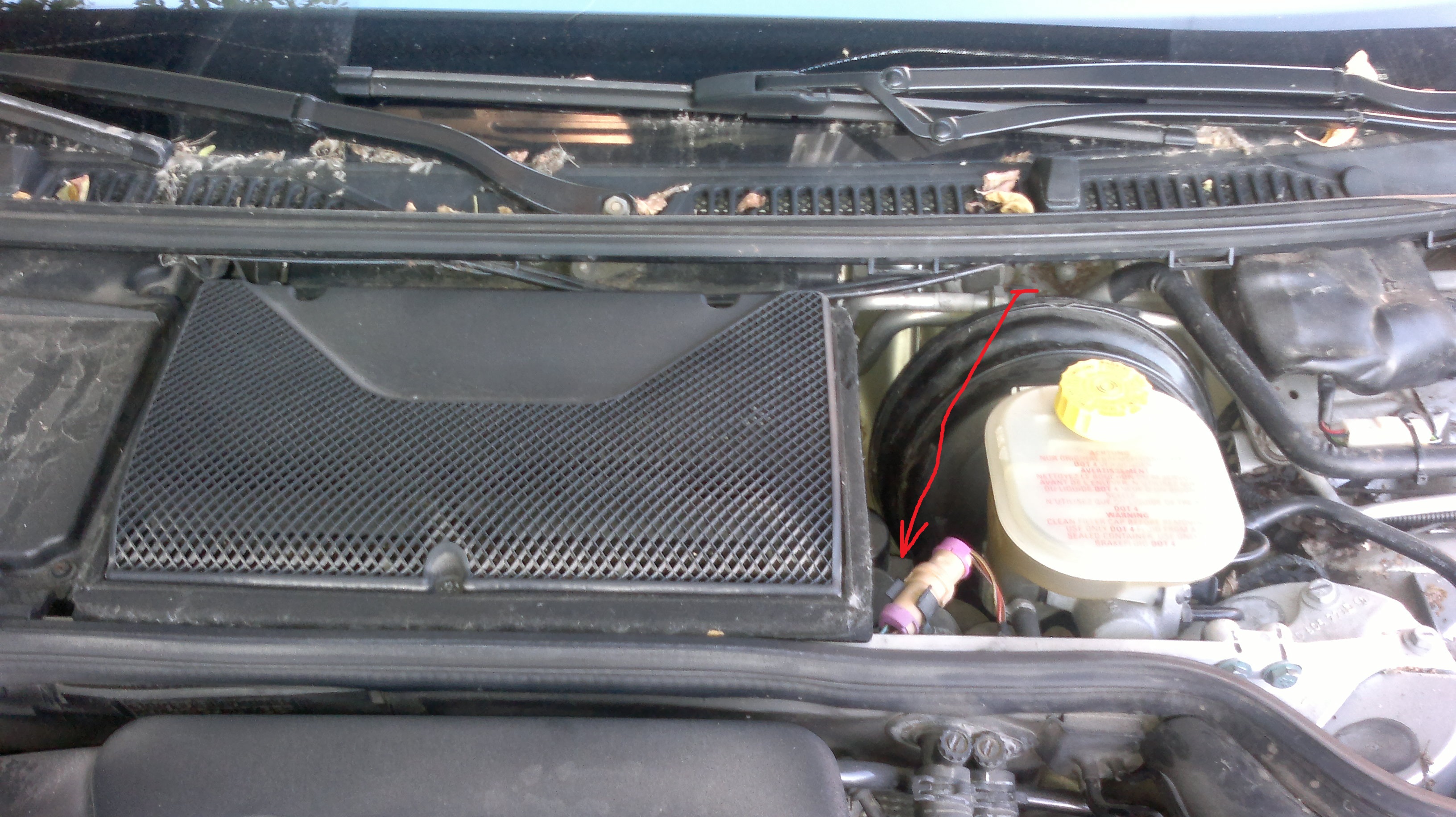 2013-06-19-061.jpg