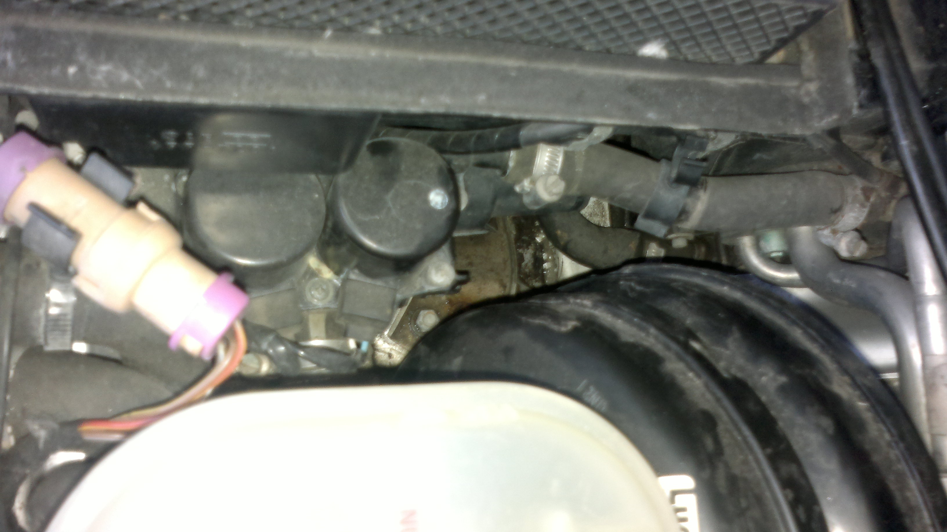 2013-06-19-060.jpg
