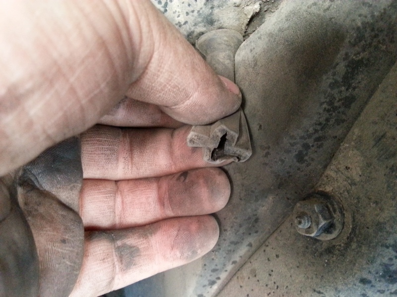 20130603_121914.jpg
