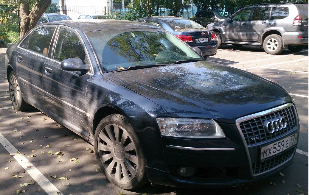 моя ласточка