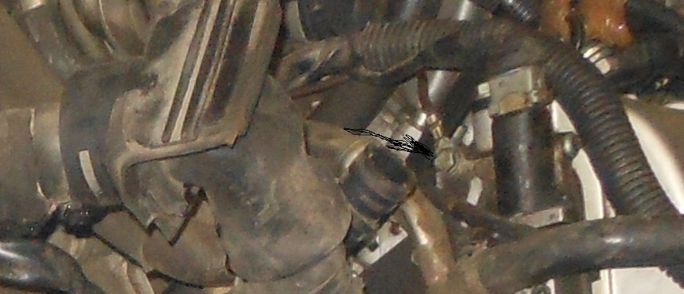 DSCN0329.JPG