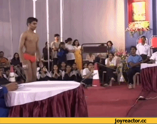 акробат-у-них-это-в-крови-1488-гифки-725056.gif