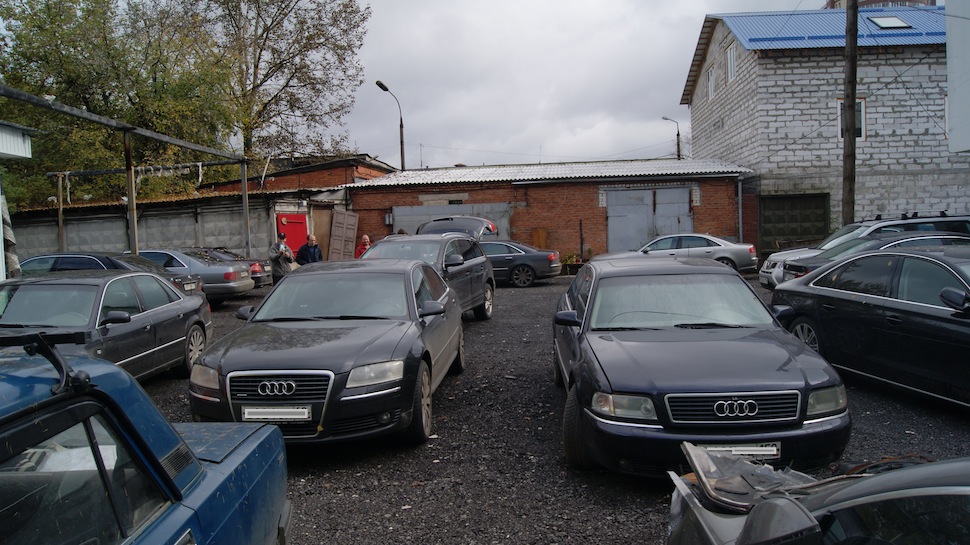 DSC08236.JPG