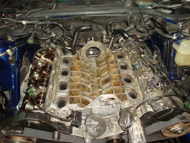 DSC09265.JPG