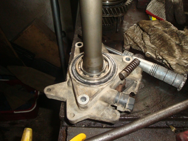 DSC09287.JPG