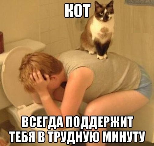 getImage (15).jpg