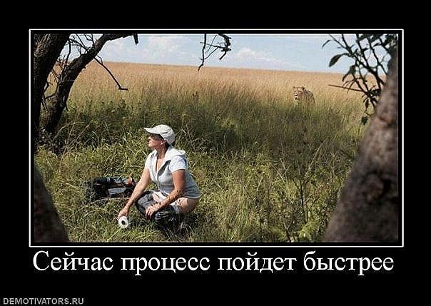 getImage (18).jpg