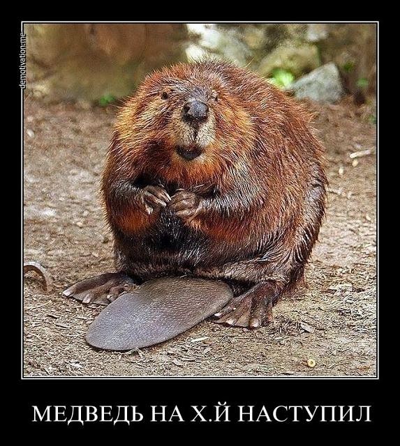 getImage (20).jpg