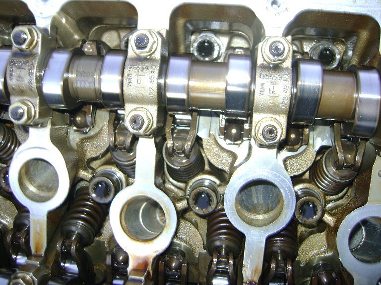 5646465.jpg