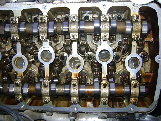 45645645454.jpg