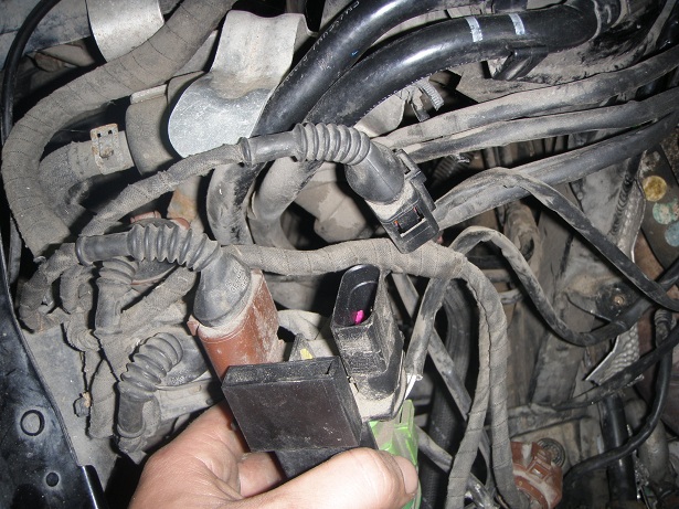PA301604.jpg